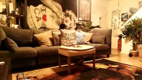 blackriches96 online show from February 14, 8:53 am