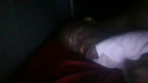 blackteddybear online show from February 3, 2:53 am