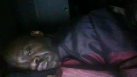 blackteddybear online show from February 16, 7:28 am