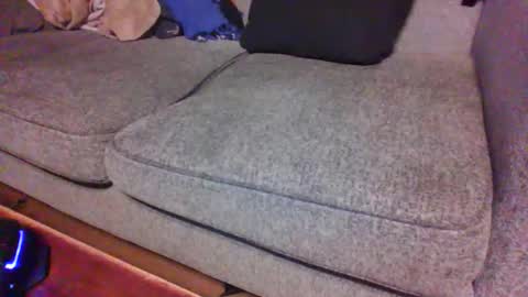 blaw_1321 online show from February 19, 8:44 am