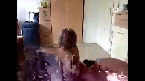 bluemarveld online show from January 13, 12:09 pm