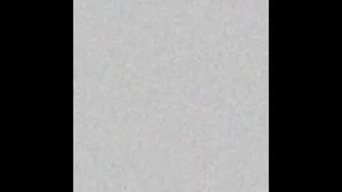 Bobby The Beaut online show from November 8, 9:56 am