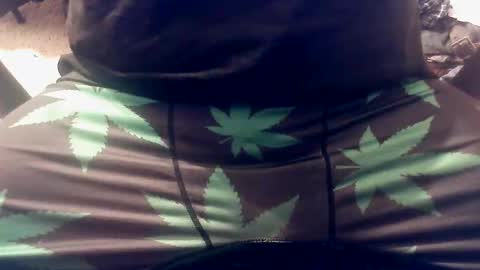 BobHungLow online show from February 14, 8:42 am