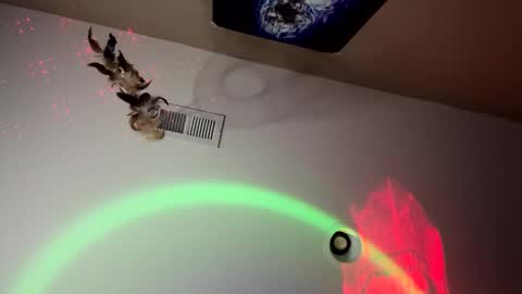 Sailorartemis online show from October 7, 11:25 am