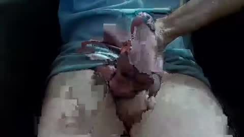 bogus25 online show from May 29, 10:53 pm