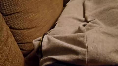 bonny8723 online show from February 25, 8:19 pm