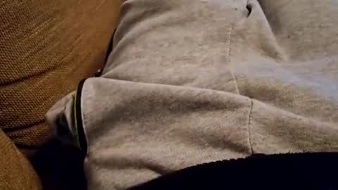 bonny8723 online show from December 16, 7:00 pm