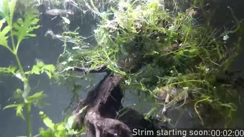 Booker Baxton online show from March 25, 3:10 am