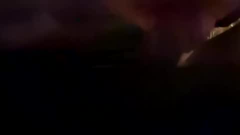 boredbassist78 online show from January 28, 1:16 pm