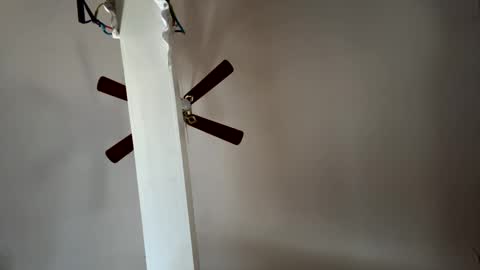 boysetsfire34 online show from December 3, 6:17 pm