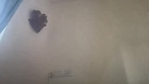 Snapshot of boytoy_079 chatting on February 22, 11:35 am BoyToy online show from February 22, 11:35 am