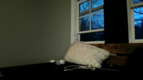 brandon255225 online show from February 15, 12:13 pm