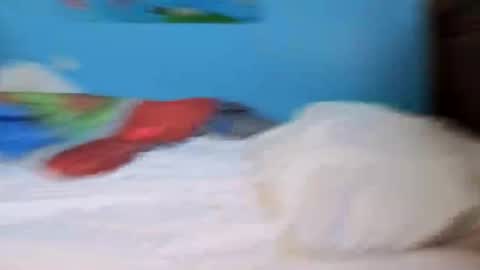 Snapshot of brownlatino22 chatting on September 18, 12:40 pm brownlatino22 online show from September 18, 12:40 pm