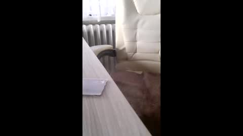 bsliner online show from April 12, 5:03 pm