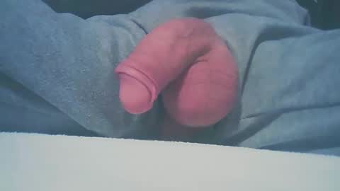 Dutch cock online show from January 11, 8:33 am