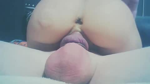 Dutch cock online show from December 15, 7:05 am