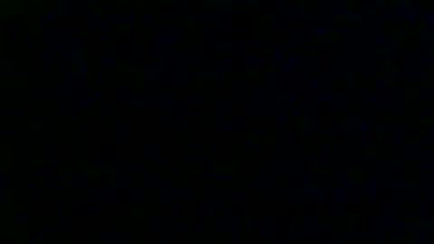 bungle online show from December 13, 11:06 pm