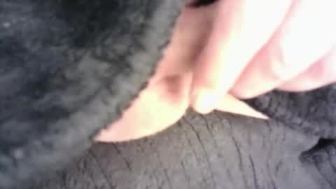 Snapshot of burnside13 chatting on September 20, 5:57 pm Hamish online show from September 20, 5:57 pm