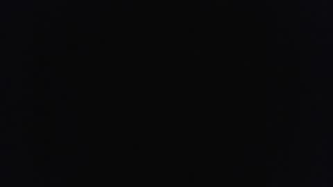 bushhouse21 online show from March 14, 8:21 am