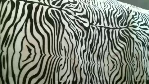 bustinfree online show from January 9, 10:37 pm