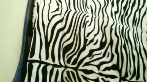 bustinfree online show from December 15, 6:27 pm