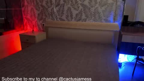 Snapshot of cactusjames_69 chatting on October 23, 3:04 pm James online show from October 23, 3:04 pm