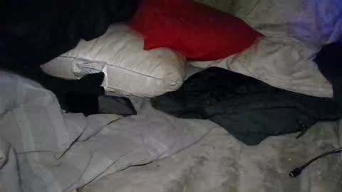 Calisguitar online show from January 2, 5:35 am