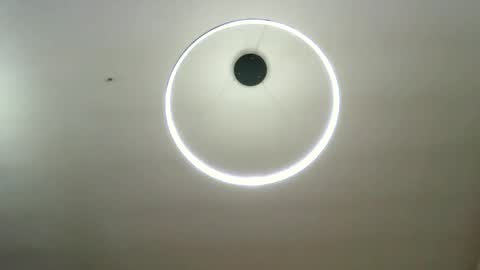 Carlos online show from February 5, 8:21 am