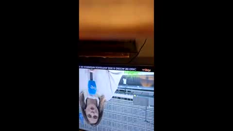 ce740750 online show from May 14, 2:09 am