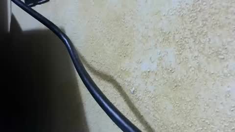 celhoduro23c online show from November 28, 8:55 pm