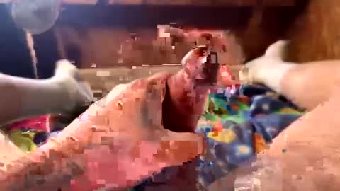 Snapshot of chasepeewee2 chatting on February 11, 7:05 pm chasepeewee2 online show from February 11, 7:05 pm