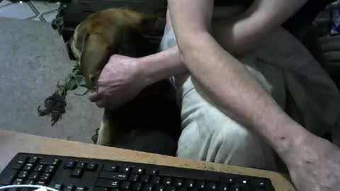 chefy online show from February 17, 11:31 am