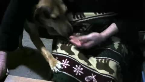 chefy online show from December 15, 1:08 pm