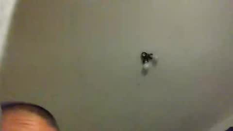 chi579822 online show from March 14, 11:17 am