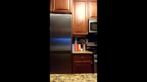 chitownblondeguy online show from March 31, 11:56 am