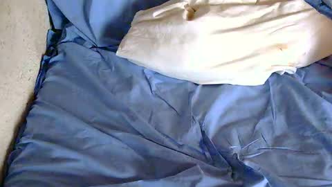 Snapshot of chpoor chatting on February 17, 3:20 pm davenz online show from February 17, 3:20 pm