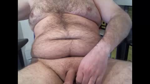 Chubby Bear BY online show from April 1, 10:39 am