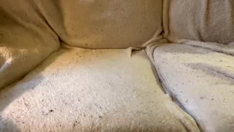 join the circle online show from December 17, 4:53 pm