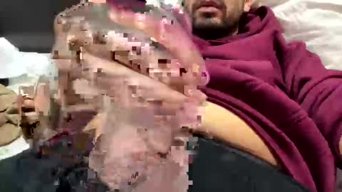 cockdixon online show from February 1, 6:01 am