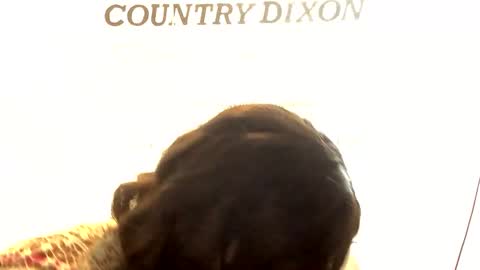 country dixon online show from January 25, 4:24 pm