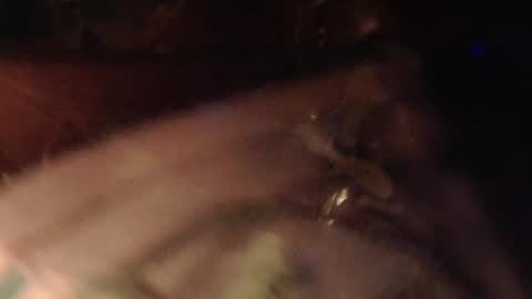 cryan96 online show from February 2, 6:31 pm