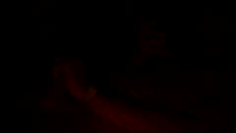 Snapshot of cumfiesta1 chatting on October 17, 2:48 am cumfiesta1 online show from October 17, 2:48 am