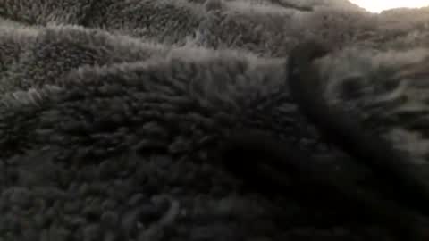 Steve online show from January 23, 11:15 pm