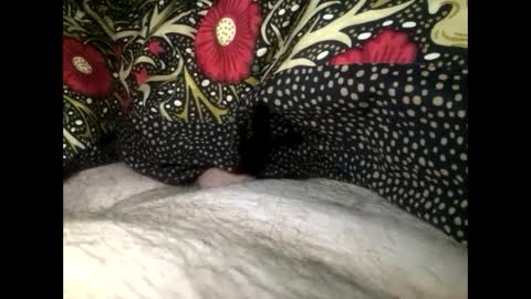 Steve online show from January 16, 6:03 am