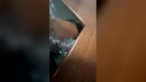 DaddyLeeBBC online show from April 29, 5:12 am