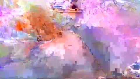 dafo1980 online show from April 20, 12:19 pm