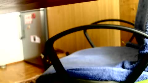 Dammerl online show from April 3, 1:30 pm