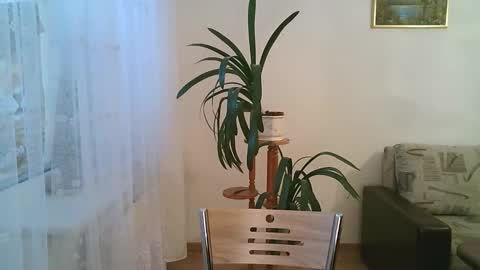 Dario online show from December 1, 11:13 am