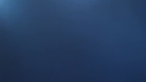 davdao3 online show from November 2, 9:13 am