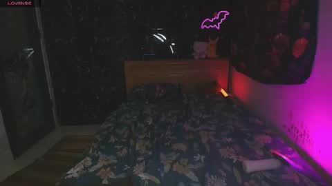 Devil online show from February 15, 6:08 am